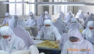 脫水蔬菜的精華 河北優(yōu)質干制品背后的加工工藝