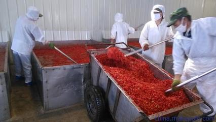探秘酒泉脫水南瓜粒 大基地蔬菜干制品的品質(zhì)與價(jià)格之旅